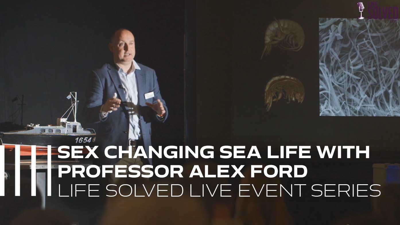 Sex Changing Sea Life with Professor Alex Ford | Life Solved Live Event  Series