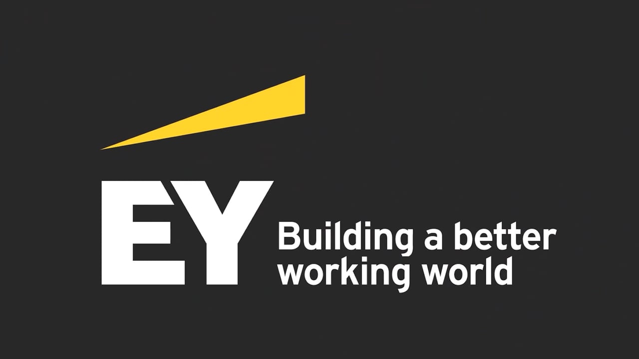 Ernst young бизнес план