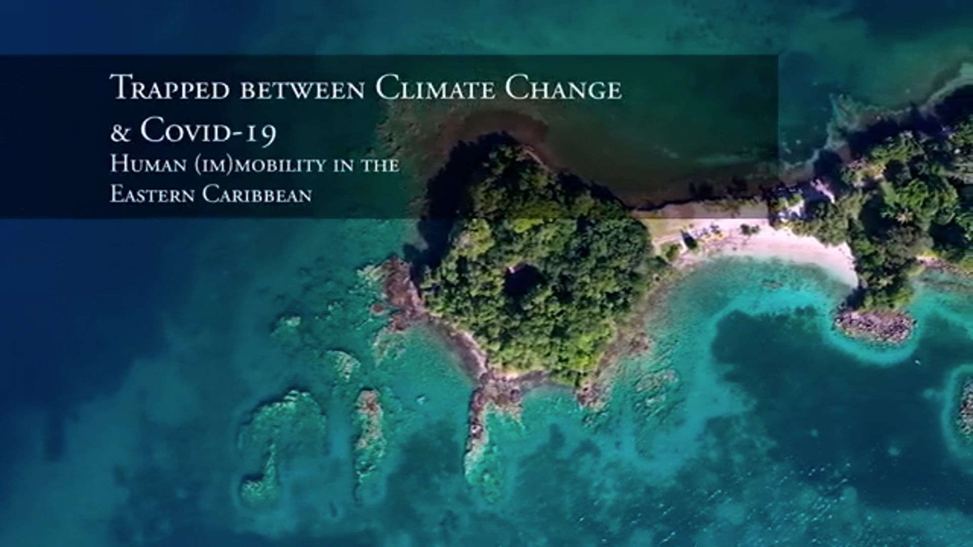Nexus of COVID-19 & Human Mobility In the Context of Climate Change