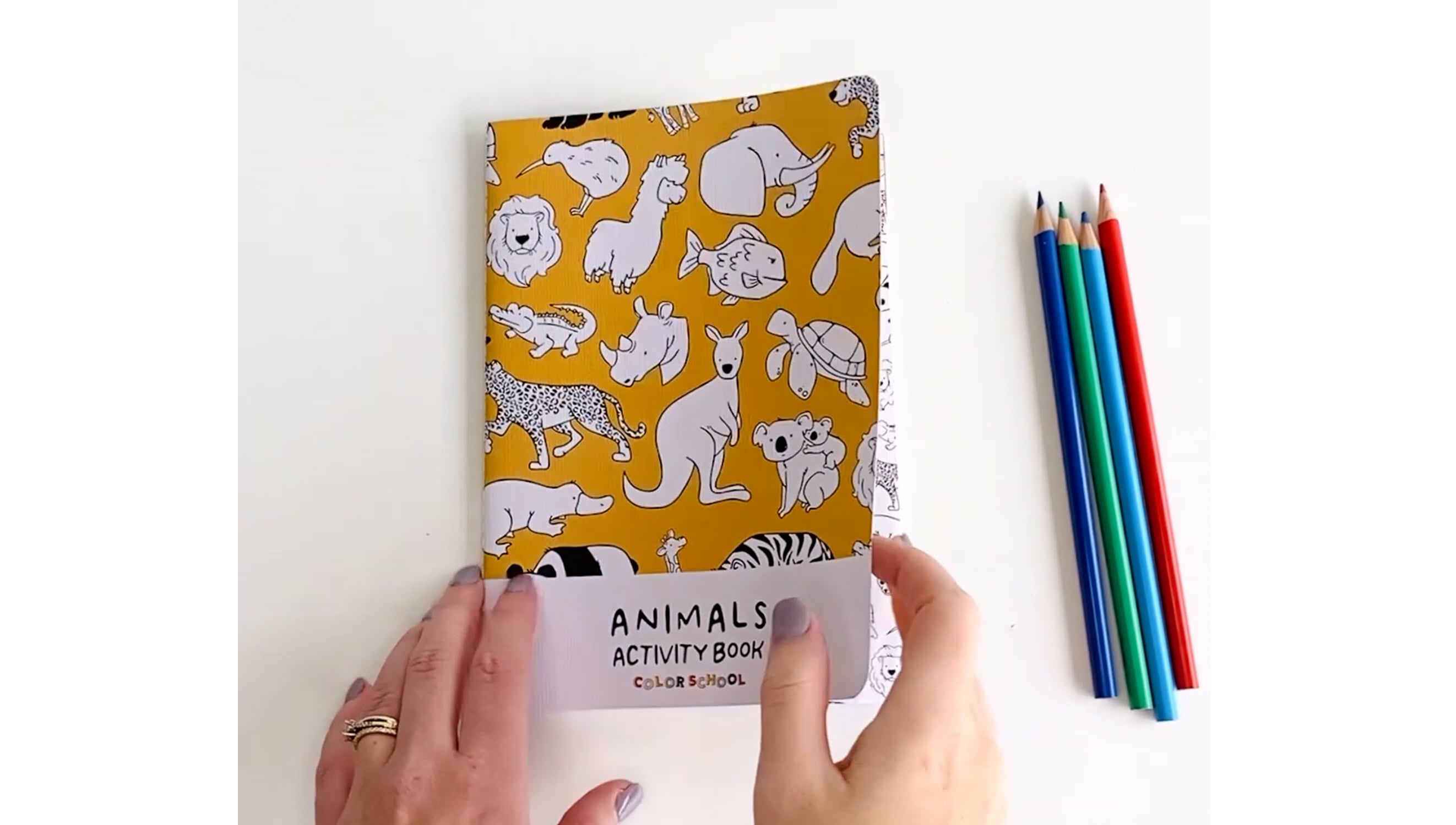 Activity Book - Animals video