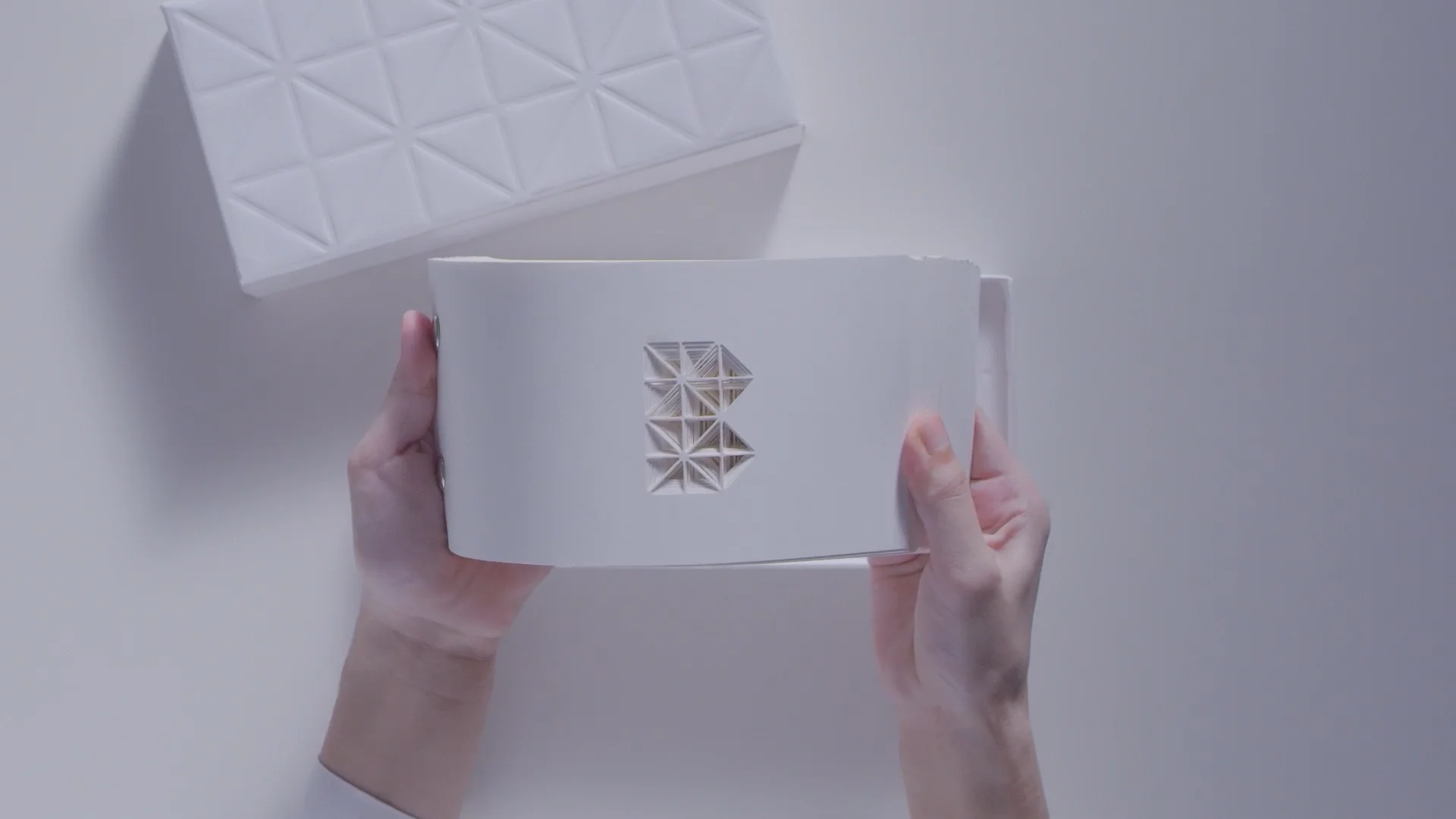 BAO BAO ISSEY MIYAKE
