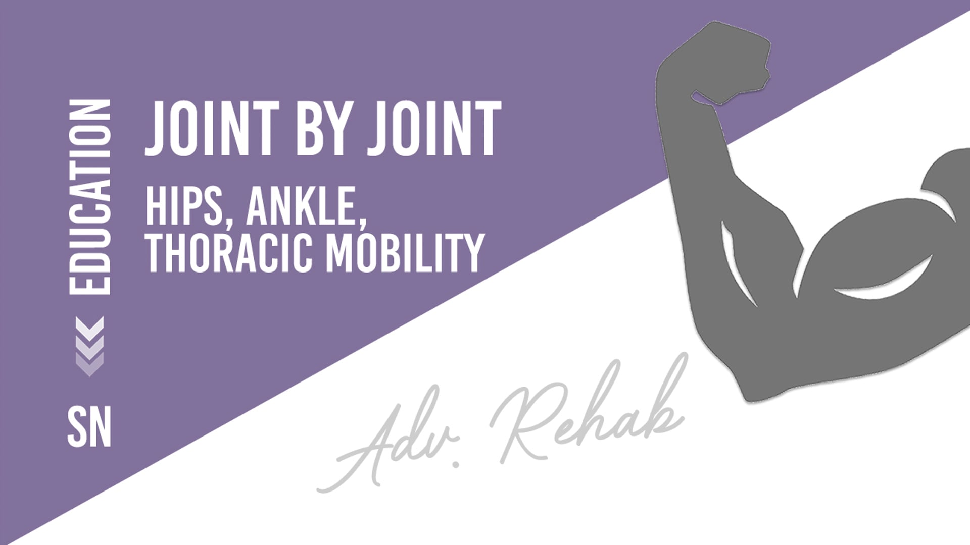 Joint by Joint Hips Ankle Thoracic Mobility