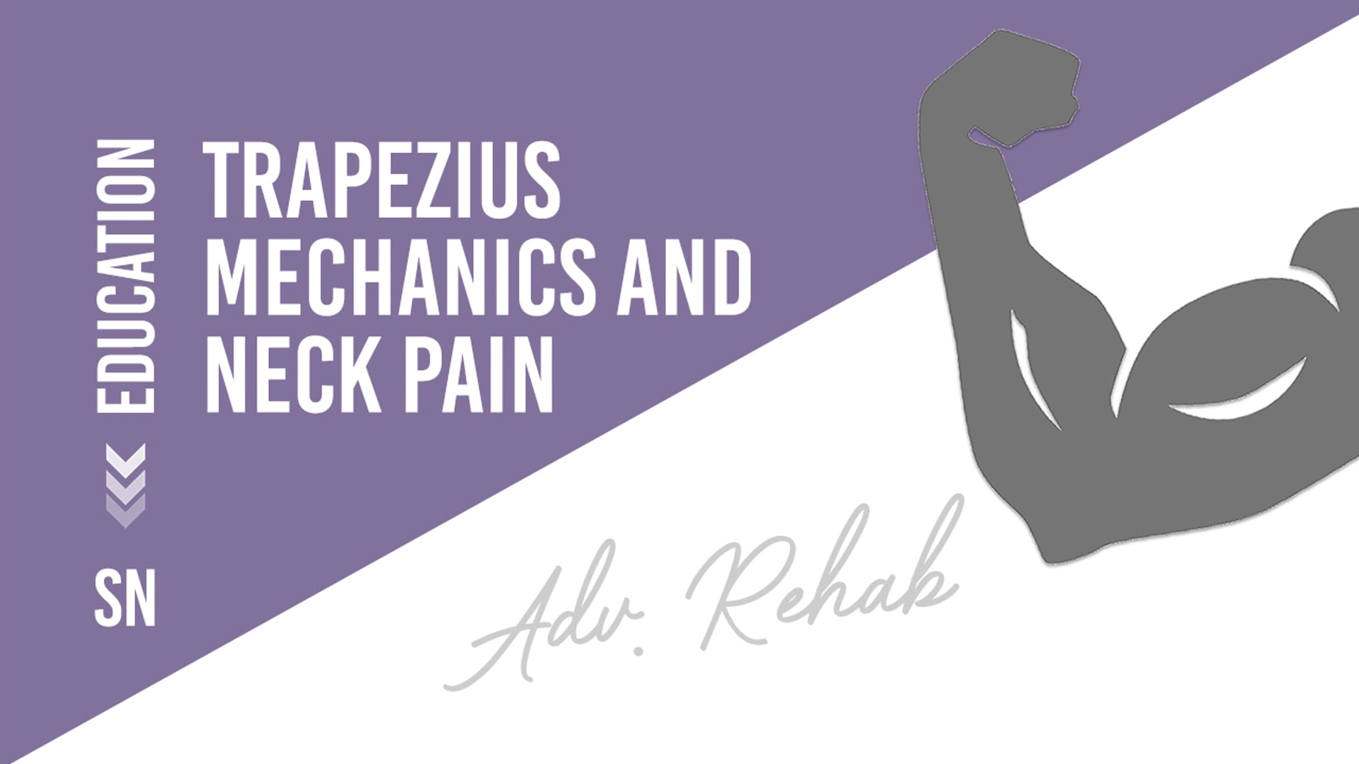 Trapezius mechanics and neck pain