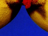 Igor Pose – Nest (2001)