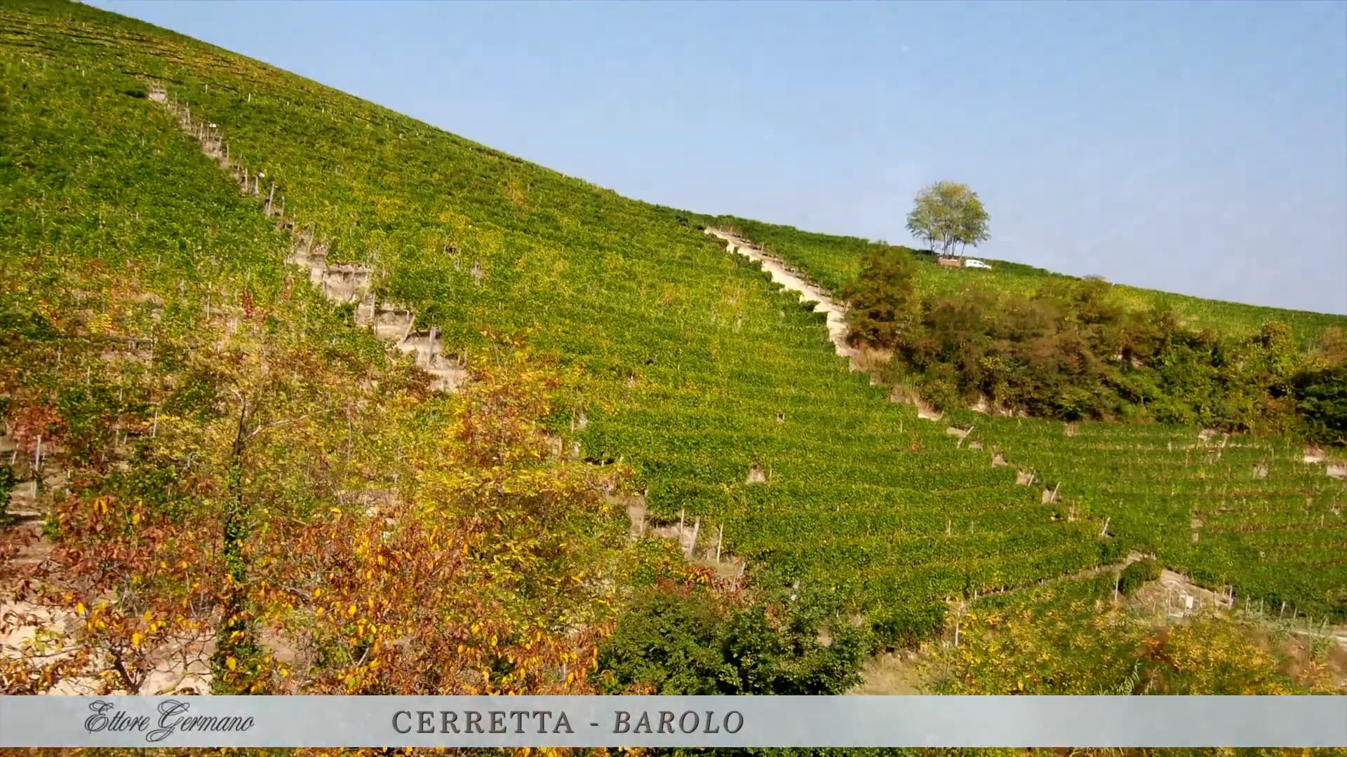 Vigneto Cerretta