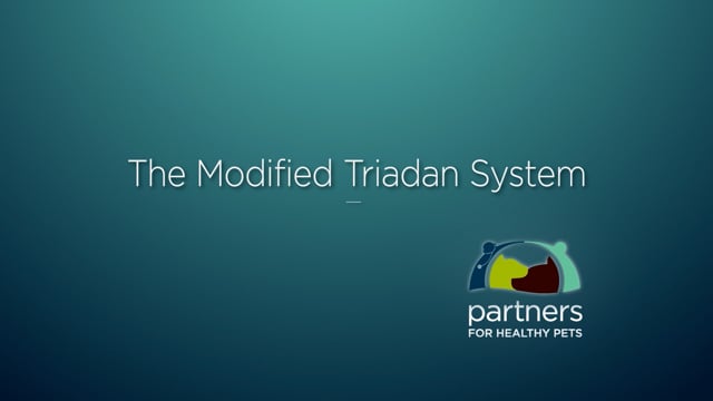 The Modified Triadan System_short
