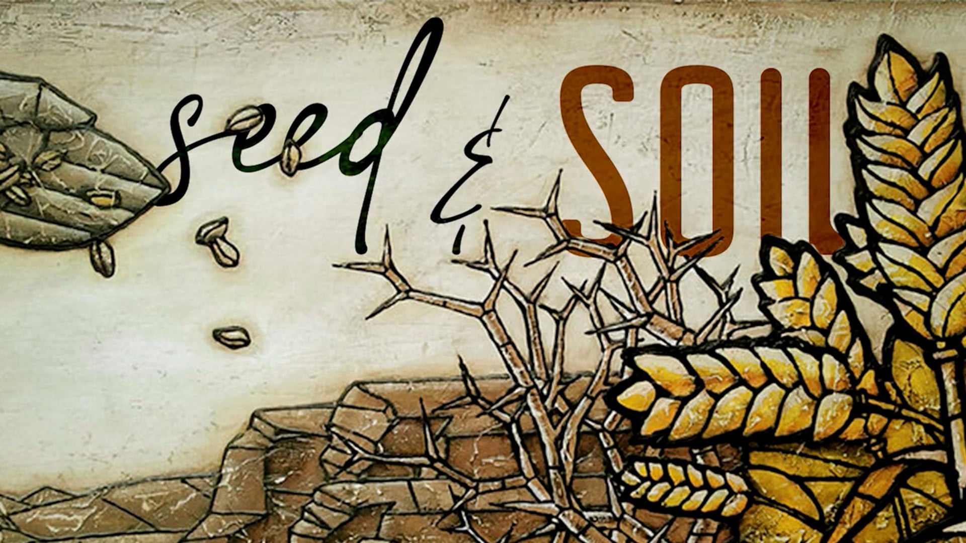 Seed and Soil 04