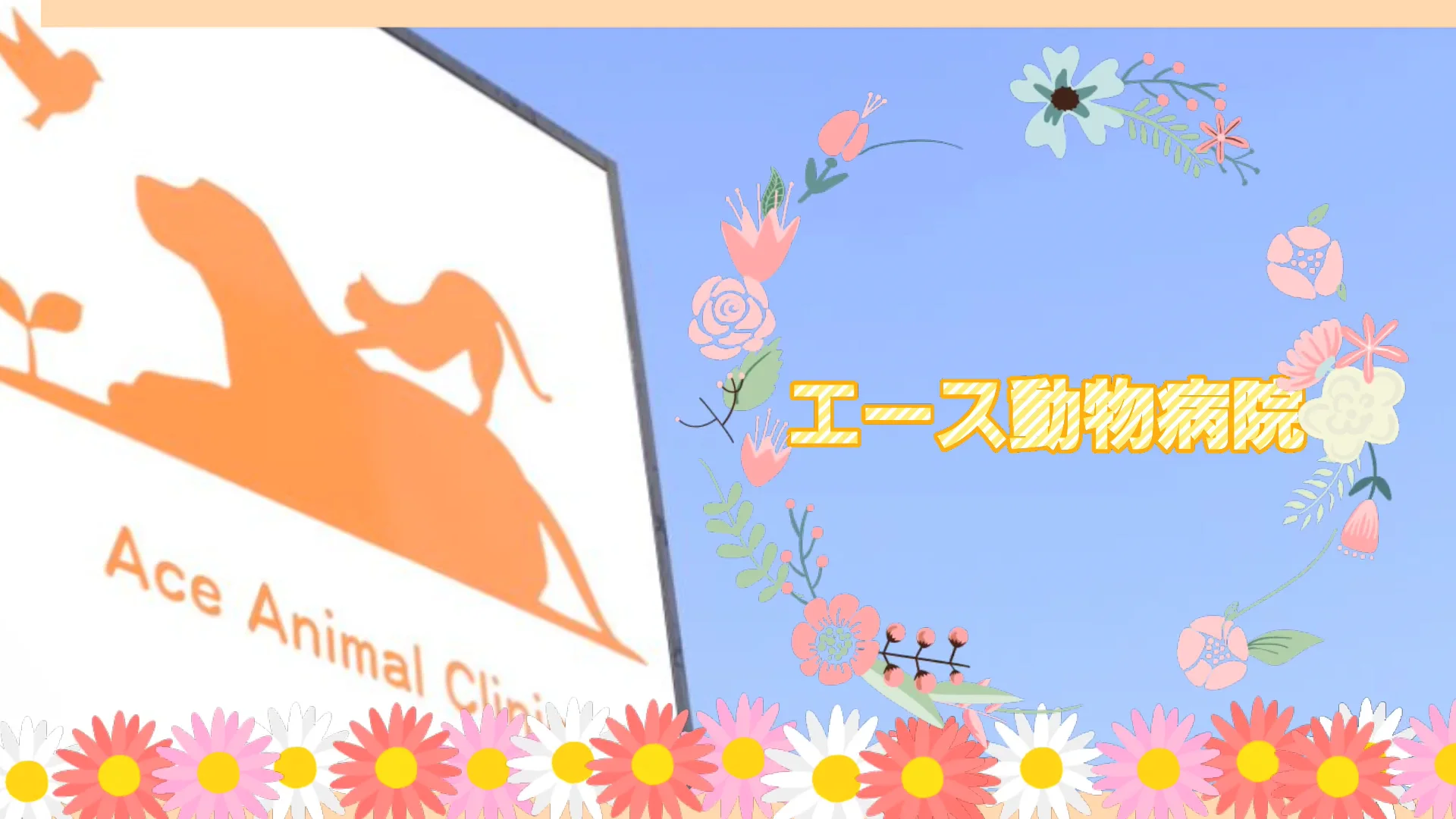 aceah202110501.mp4