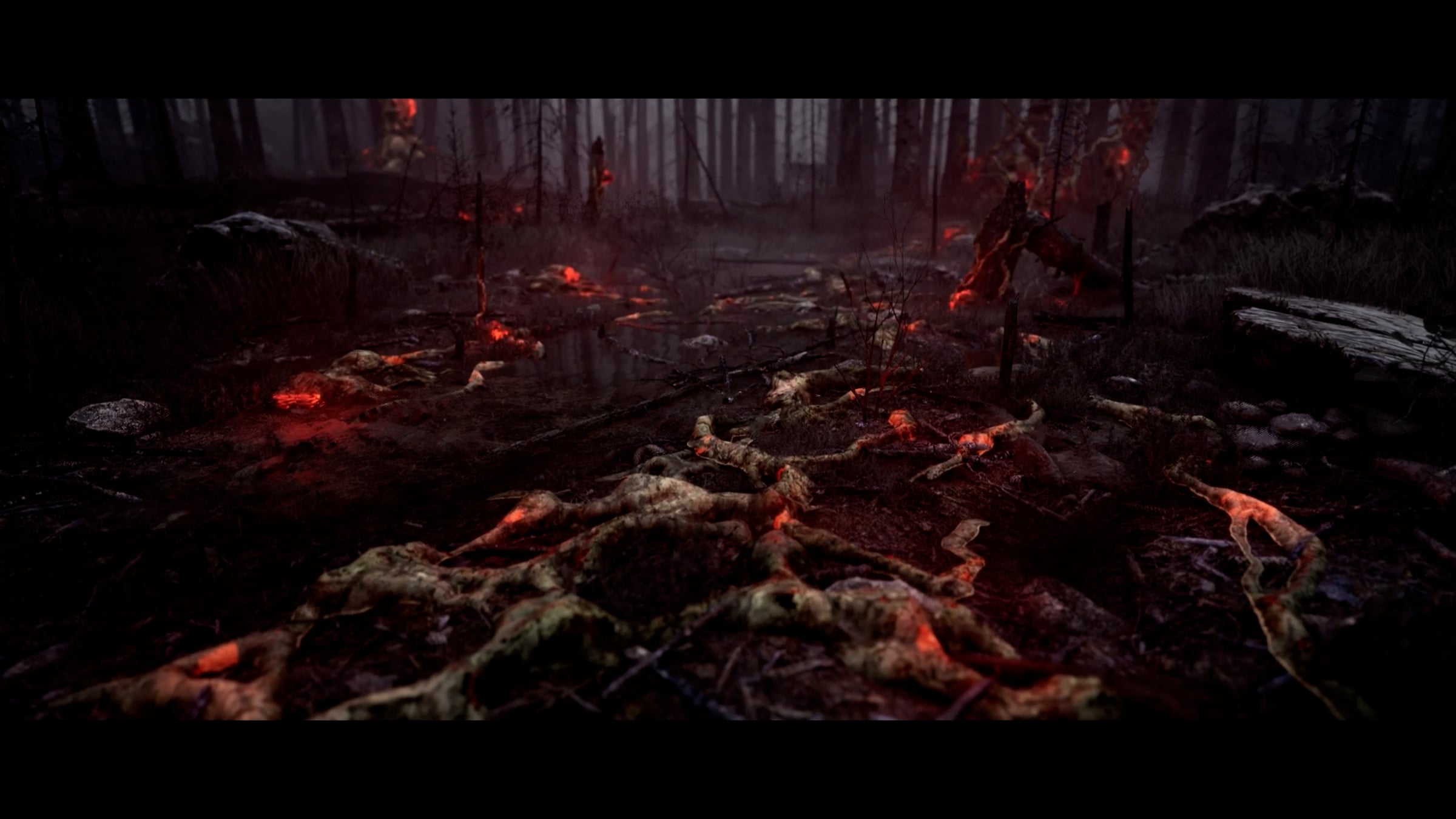 ILL FOREST | Videos & Movies on Vimeo