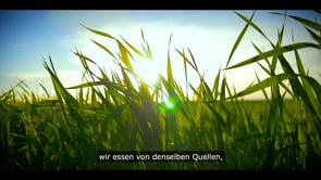 CorporateVideo_DE