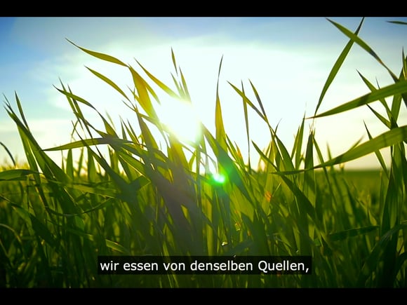 CorporateVideo_DE