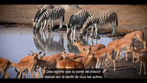 CorporateVideo_FR