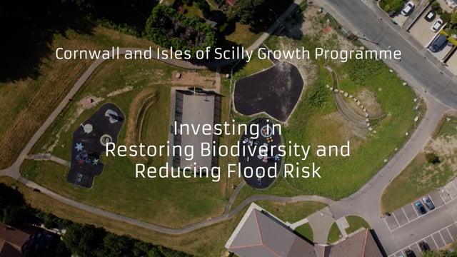 CIoS Growth programme