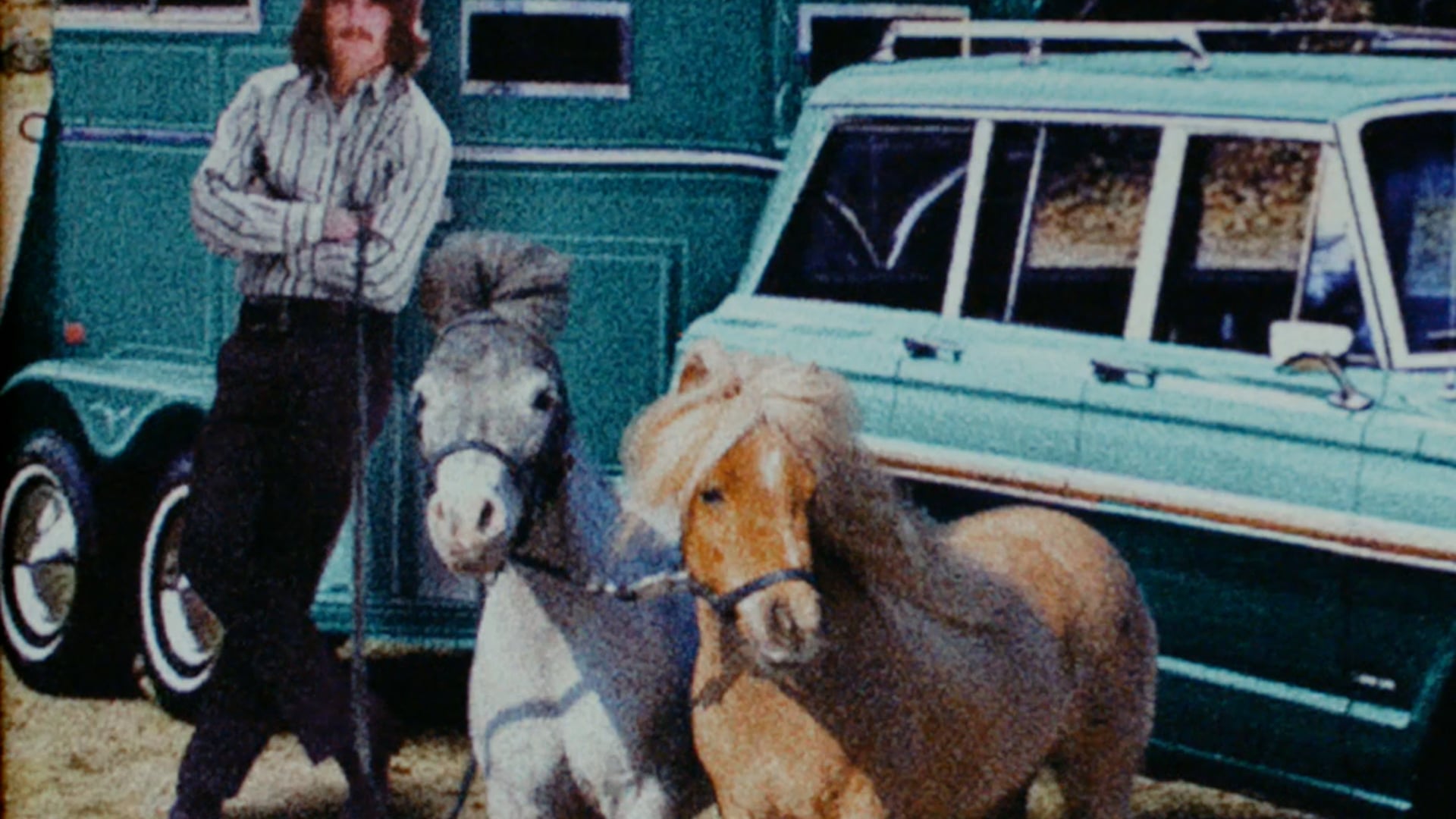 "Miniature Horsepower" Ad, American Express (30s)
