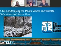 Chill Landscaping for Plants, Water, and Wildlife