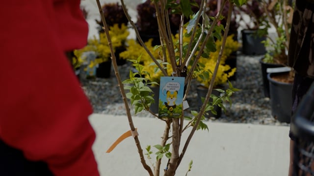 FireSmart BC Plant Program