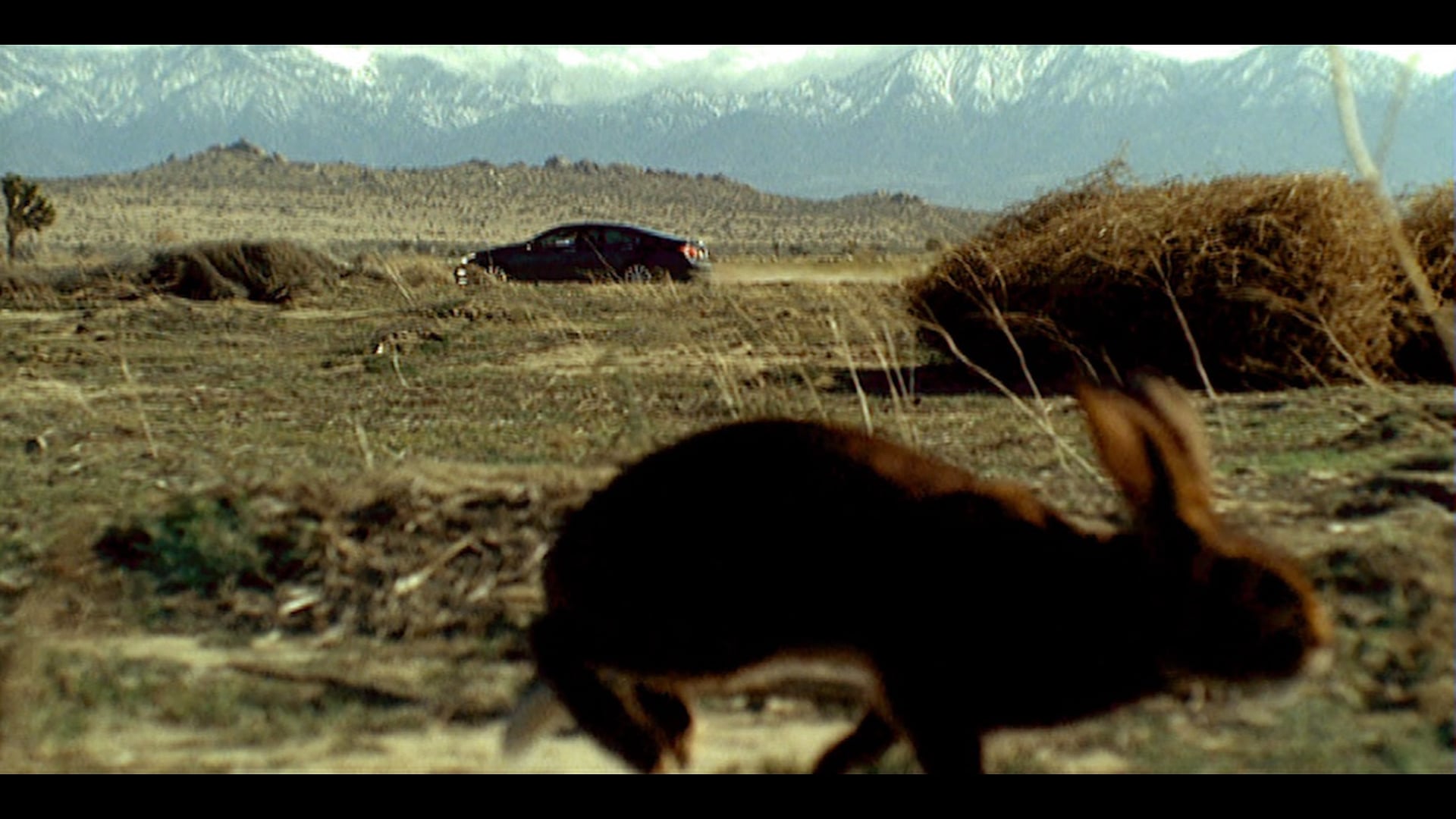 lexus "perfect moment"