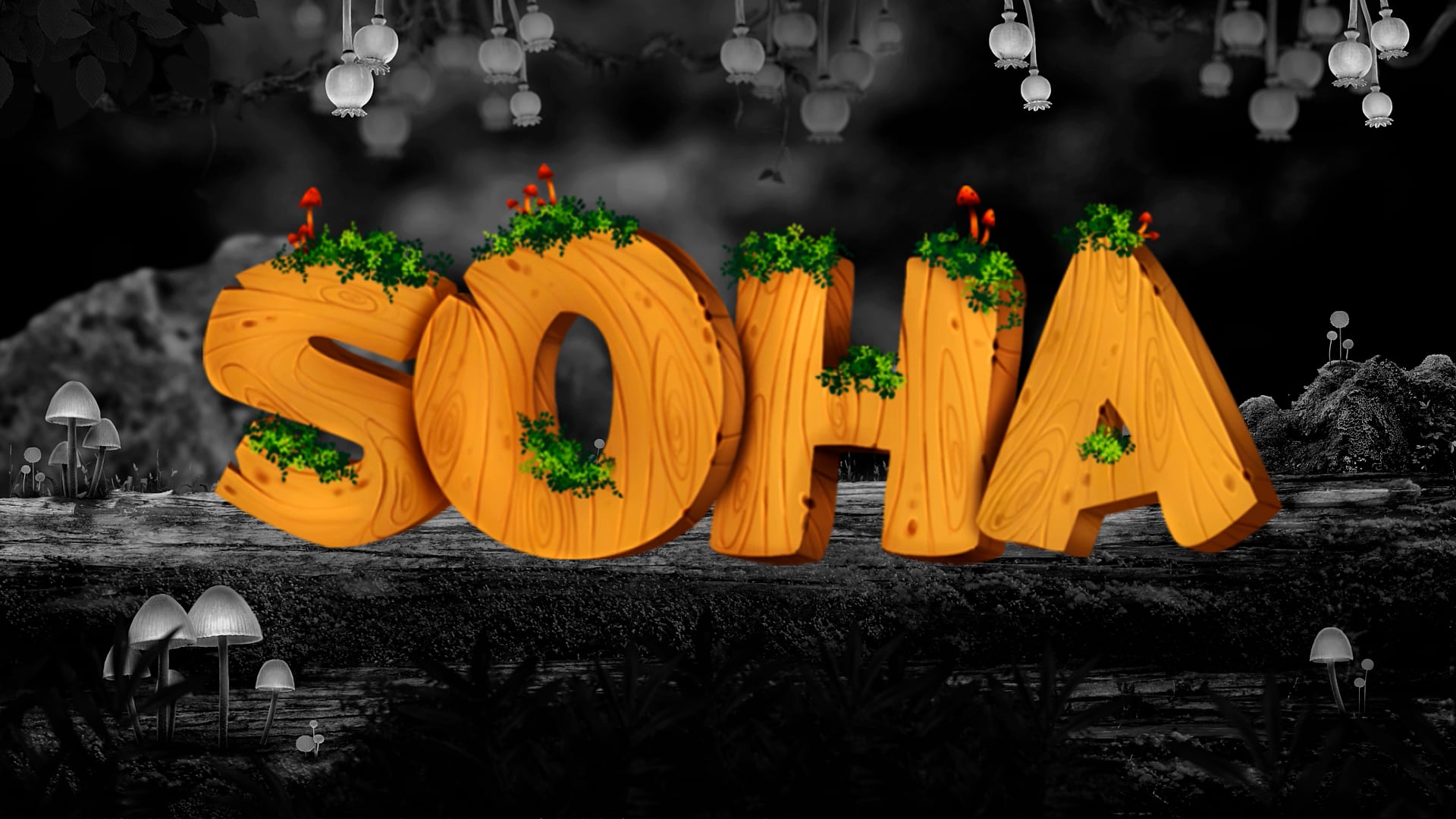 SOHA Level 01 Workflow.mp4 on Vimeo