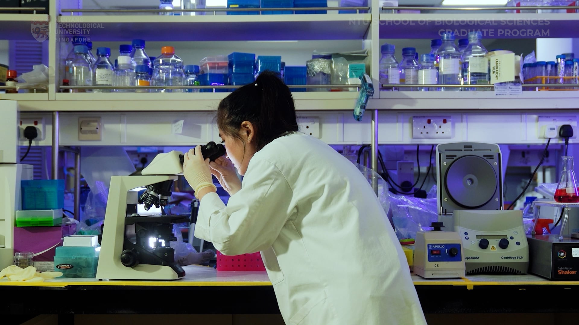 NTU - School of Biological Sciences Graduate Program V1