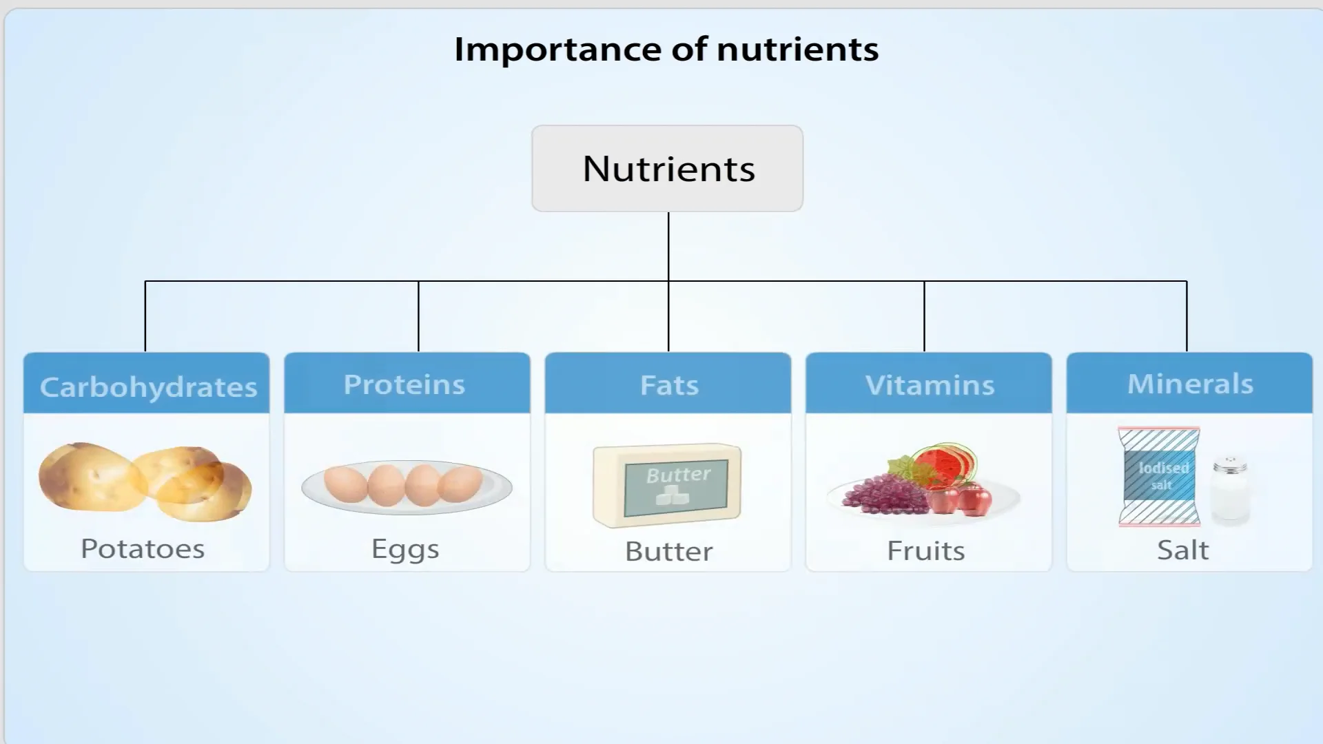 Components of food-2 on Vimeo