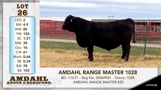 Lot #26 - AMDAHL RANGE MASTER 1028