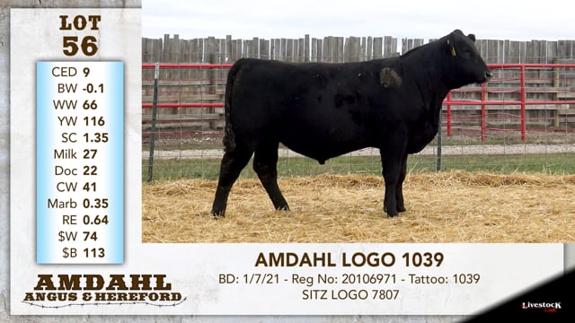 Lot #56 - AMDAHL LOGO 1039