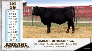 Lot #59 - AMDAHL ULTIMATE 1066