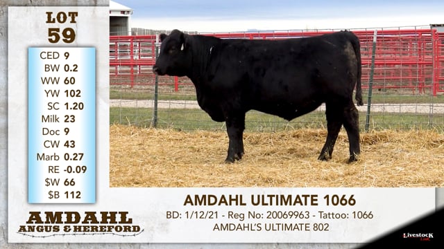 Lot #59 - AMDAHL ULTIMATE 1066