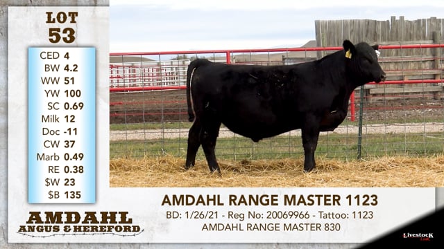Lot #53 - AMDAHL RANGE MASTER 1123
