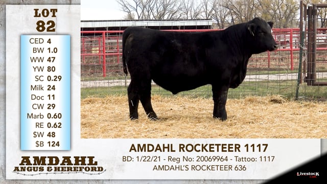 Lot #82 - AMDAHL ROCKETEER 1117