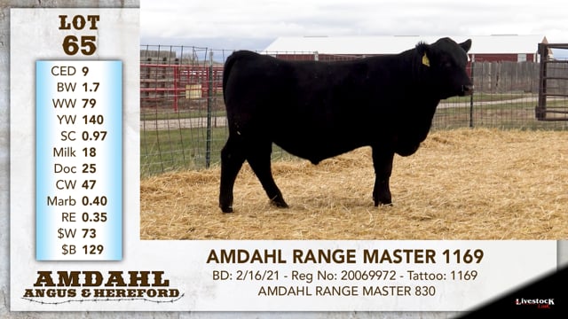 Lot #65 - AMDAHL RANGE MASTER 1169