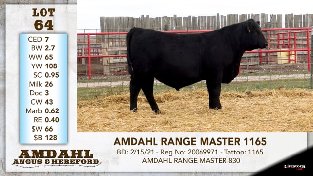 Lot #64 - AMDAHL RANGE MASTER 1165