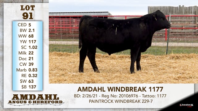 Lot #91 - AMDAHL WINDBREAK 1177