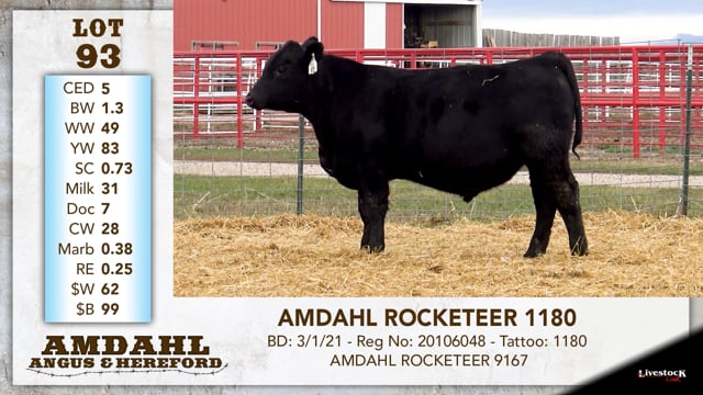 Lot #93 - AMDAHL ROCKETEER 1180