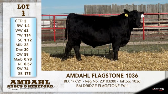 Lot #1 - AMDAHL FLAGSTONE 1036