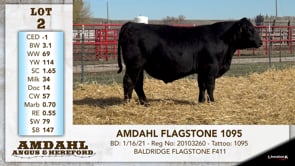 Lot #2 - AMDAHL FLAGSTONE 1095