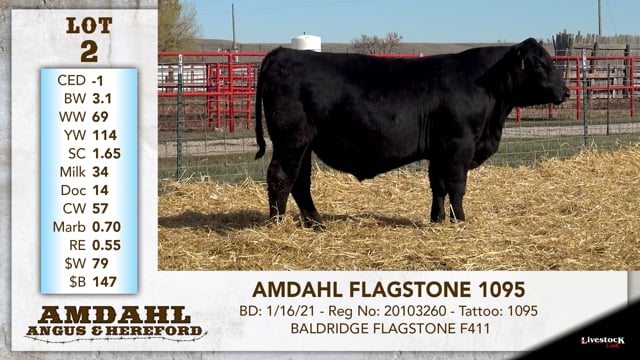 Lot #2 - AMDAHL FLAGSTONE 1095