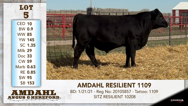 Lot #5 - AMDAHL RESILIENT 1109