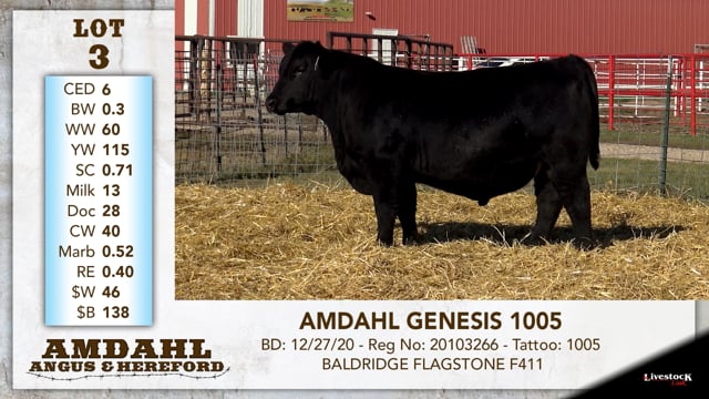 Lot #3 - AMDAHL GENESIS 1005