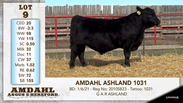 Lot #9 - AMDAHL ASHLAND 1031
