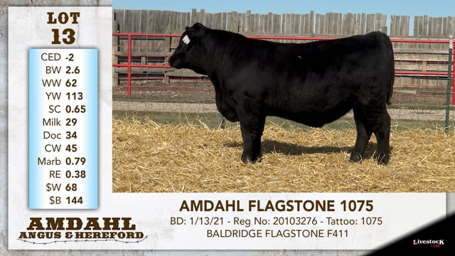 Lot #13 - AMDAHL FLAGSTONE 1075
