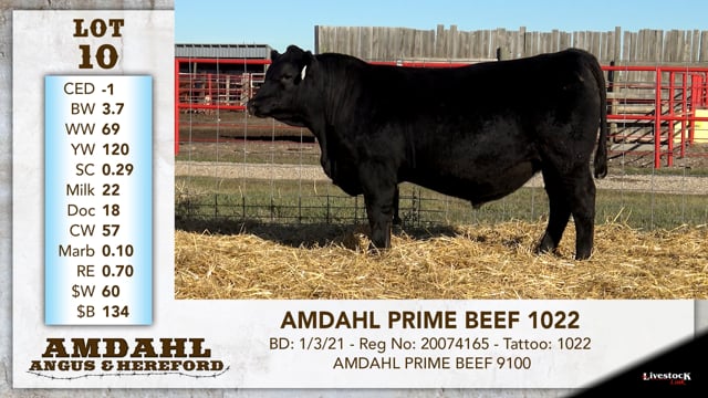 Lot #10 - AMDAHL PRIME BEEF 1022