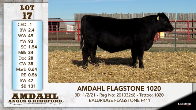 Lot #17 - AMDAHL FLAGSTONE 1020