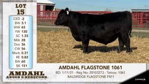 Lot #15 - AMDAHL FLAGSTONE 1061