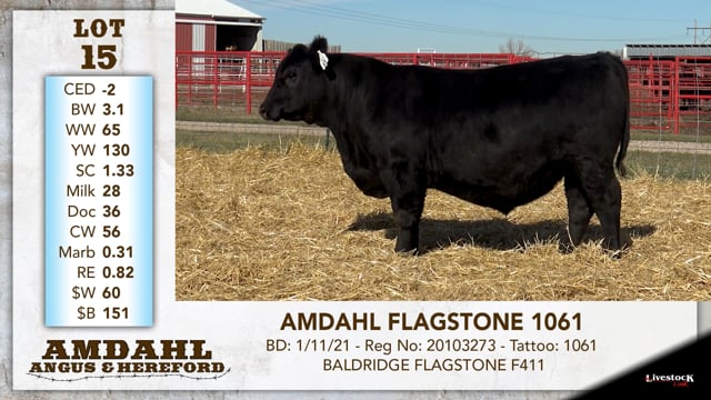 Lot #15 - AMDAHL FLAGSTONE 1061