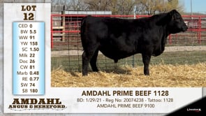 Lot #12 - AMDAHL PRIME BEEF 1128