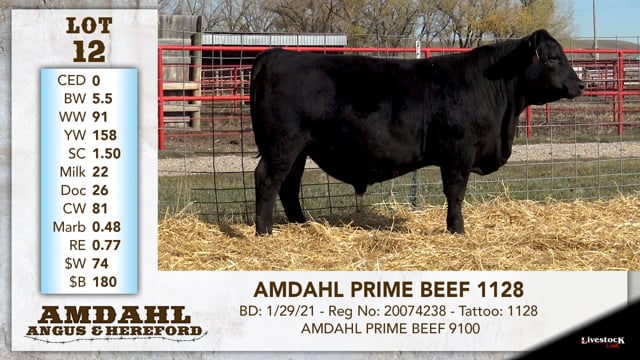Lot #12 - AMDAHL PRIME BEEF 1128