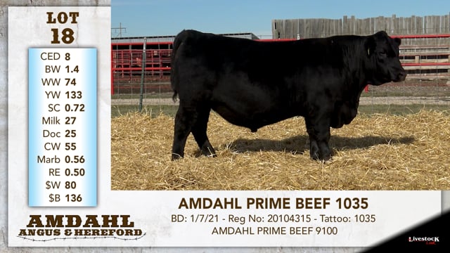Lot #18 - AMDAHL PRIME BEEF 1035
