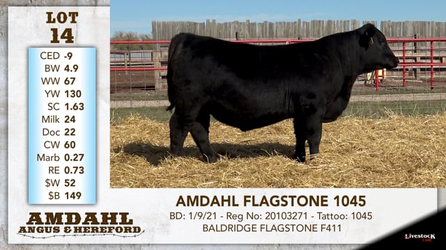 Lot #14 - AMDAHL FLAGSTONE 1045