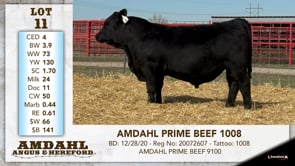 Lot #11 - AMDAHL PRIME BEEF 1008